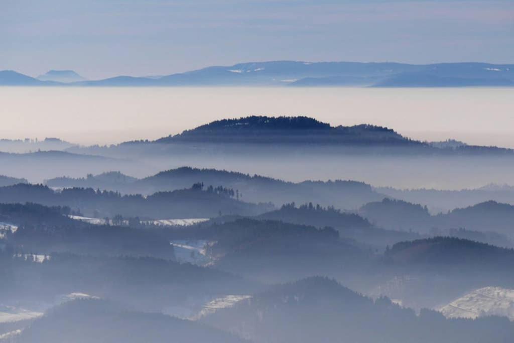Ferienwohnung Schwarzwald Hinterzarten Luaran gambar