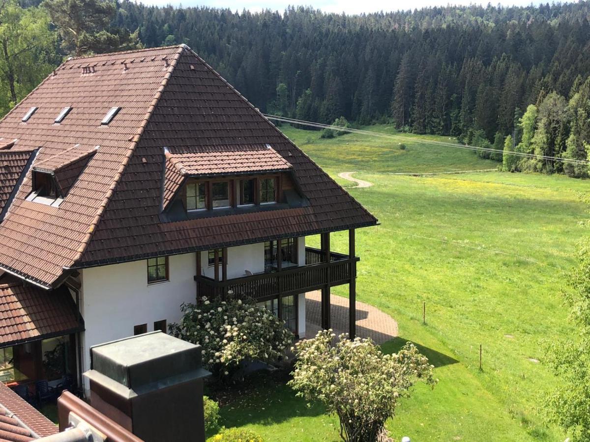 Ferienwohnung Schwarzwald Hinterzarten Luaran gambar