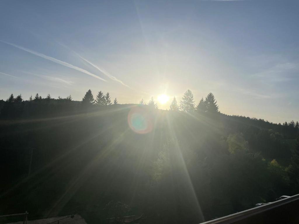 Ferienwohnung Schwarzwald Hinterzarten Luaran gambar
