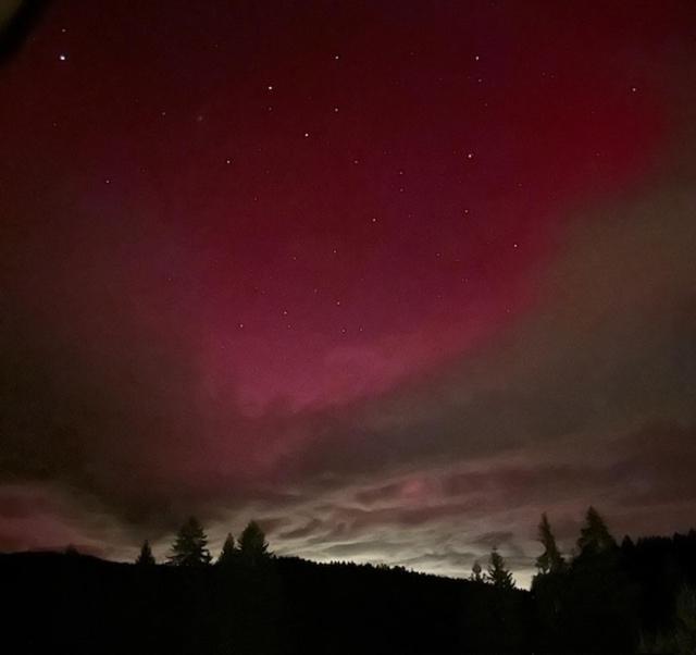 Ferienwohnung Schwarzwald Hinterzarten Luaran gambar